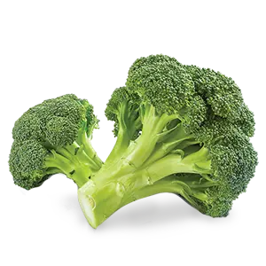 Egyptian Fresh Broccoli