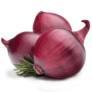 Onion