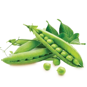 Snow Peas